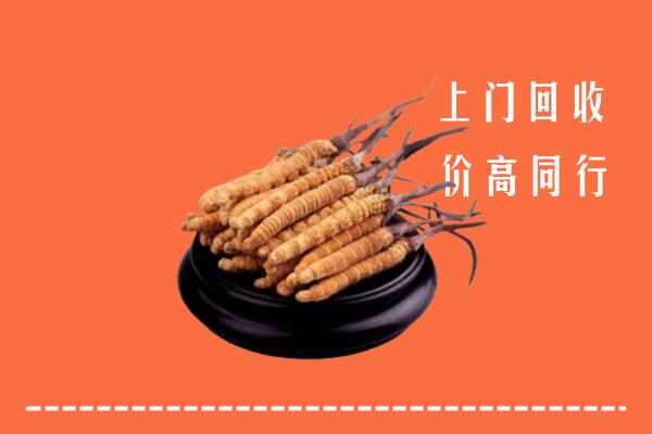 高价求购：利通区回收散虫草